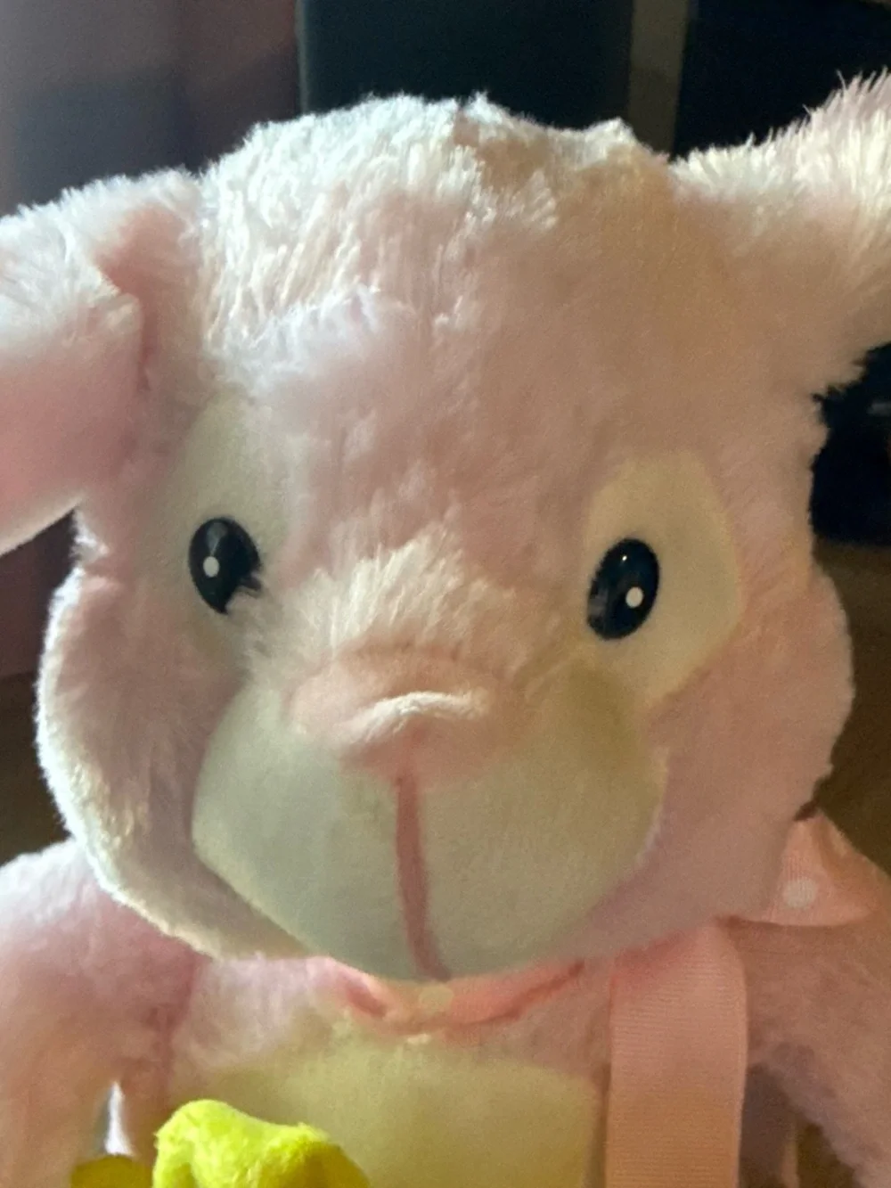 Plush Pink Bunny with Yellow Flower Pacifier Holder - Kids Accessories